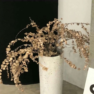 Furry角色比例设计福瑞群